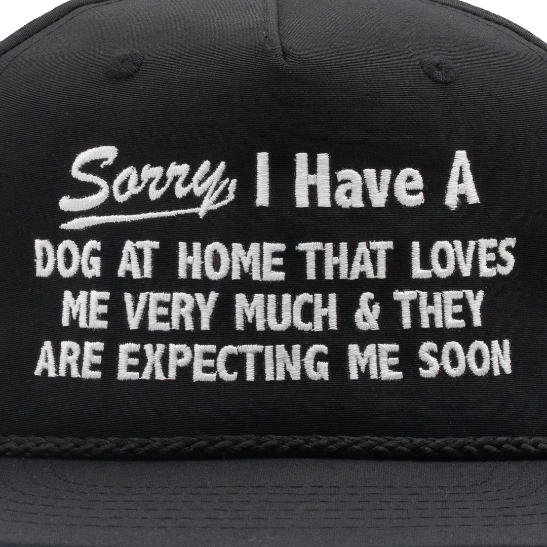 Sorry, I Have A Dog At Home