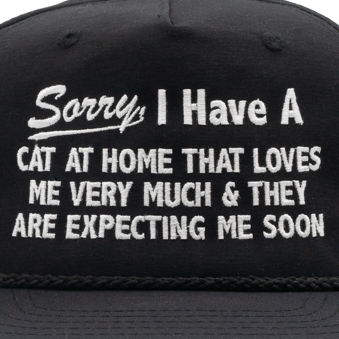 Sorry, I Have A Cat At Home