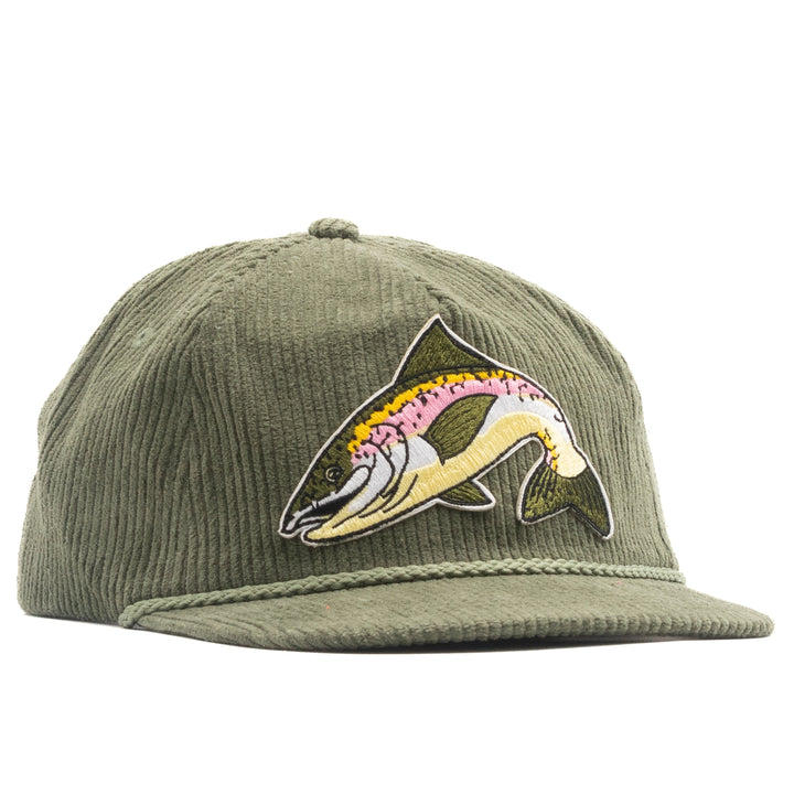 Rainbow Trout