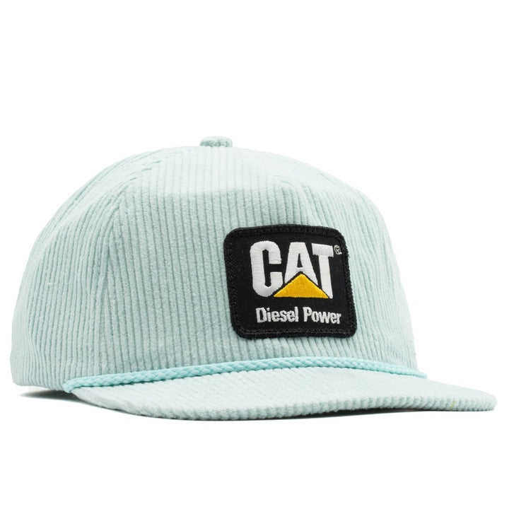 CAT Diesel Power