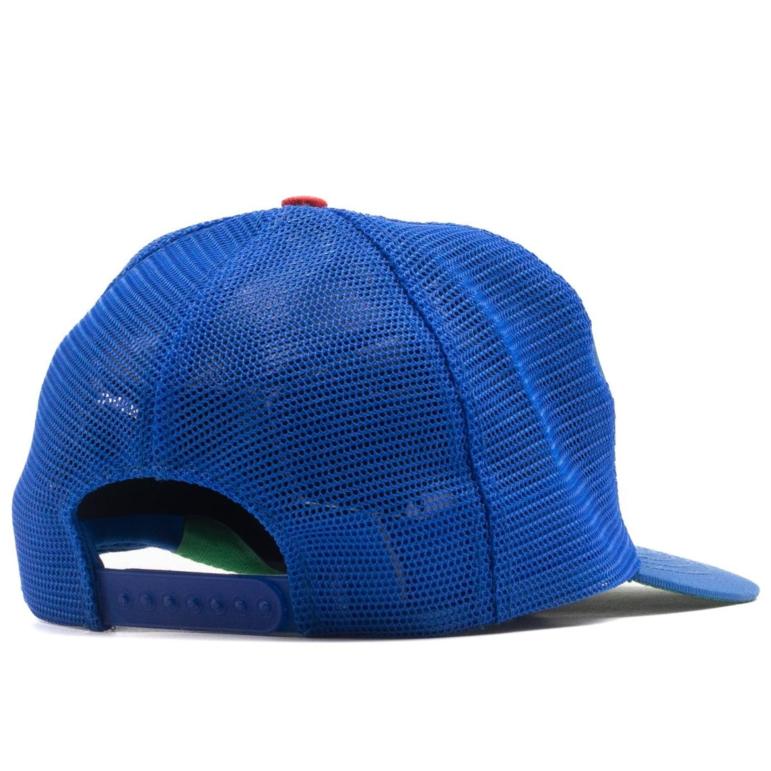 Headwear - Chicago Cubs - SNAG