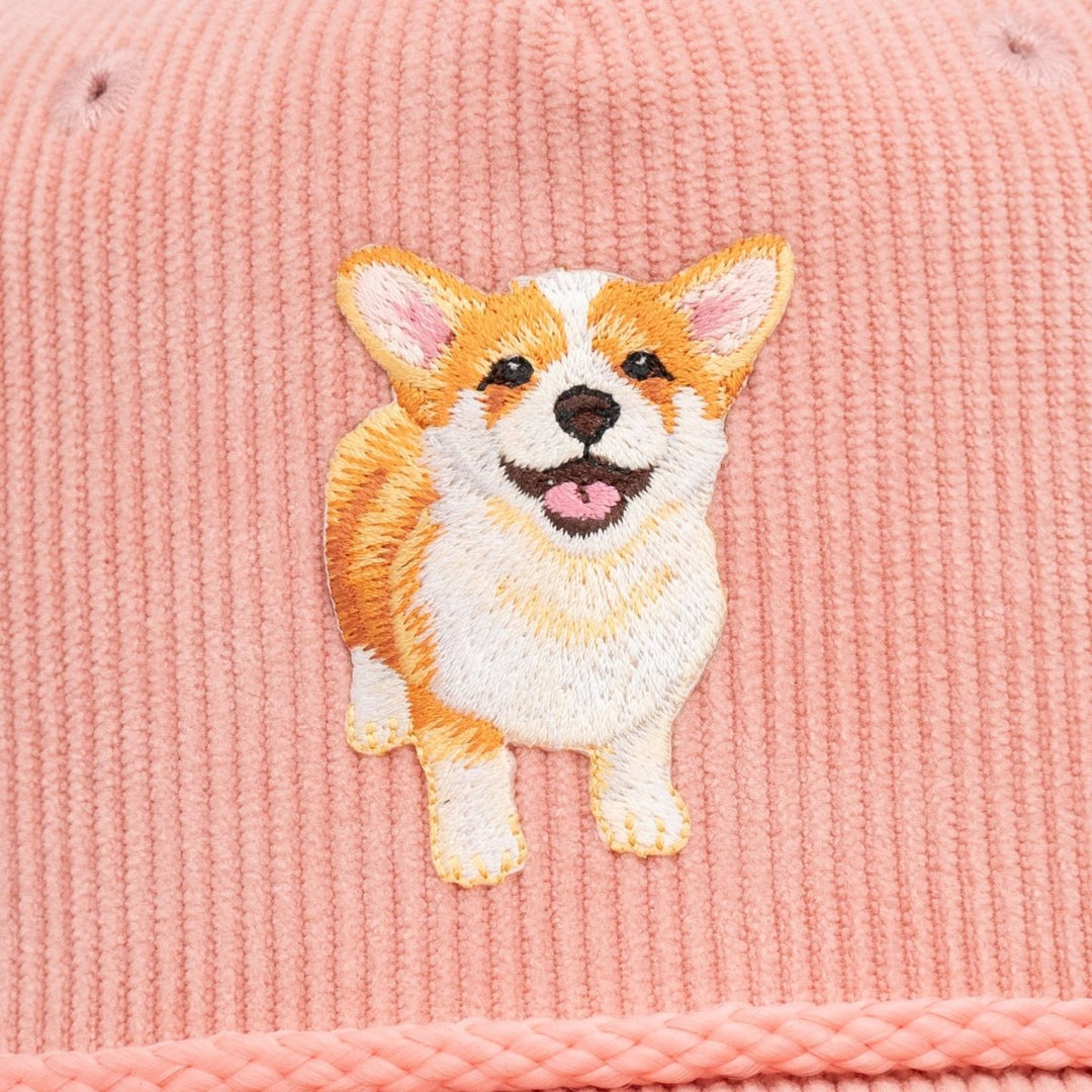 Corgi