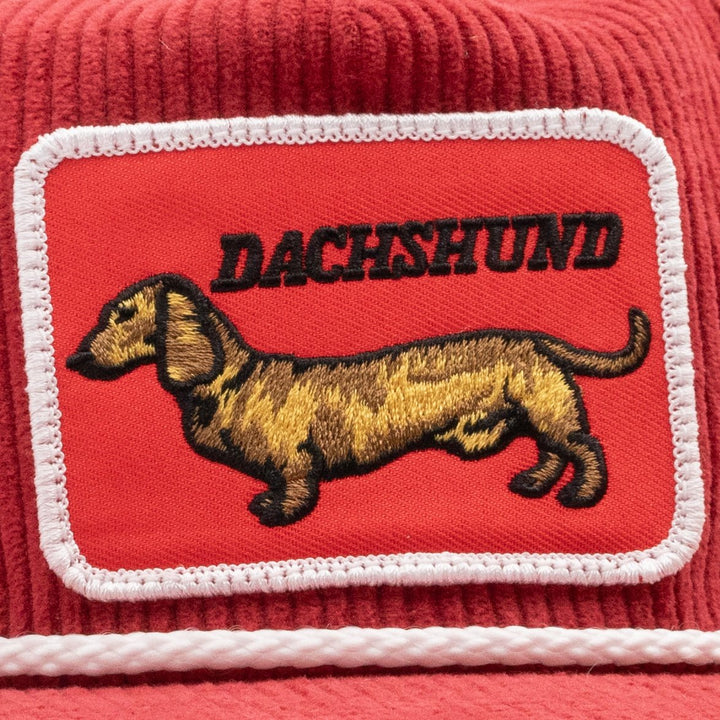 Headwear - Dachshund - SNAG