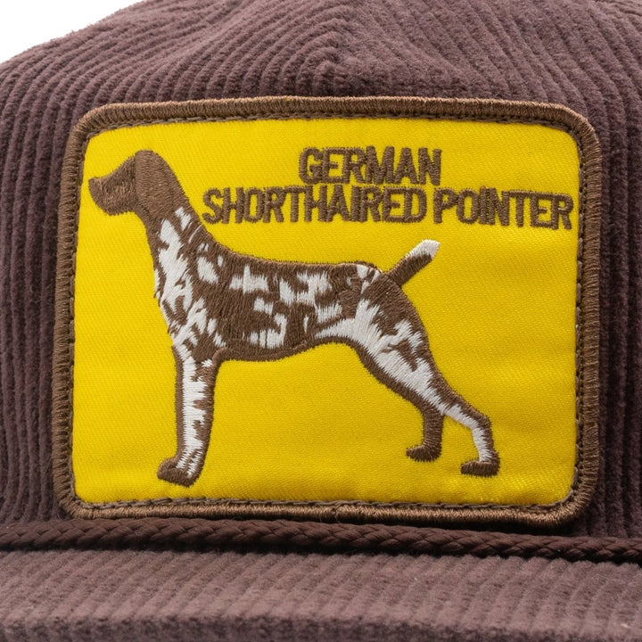 German Shorthaired Pointer