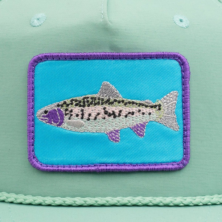 Rainbow Trout