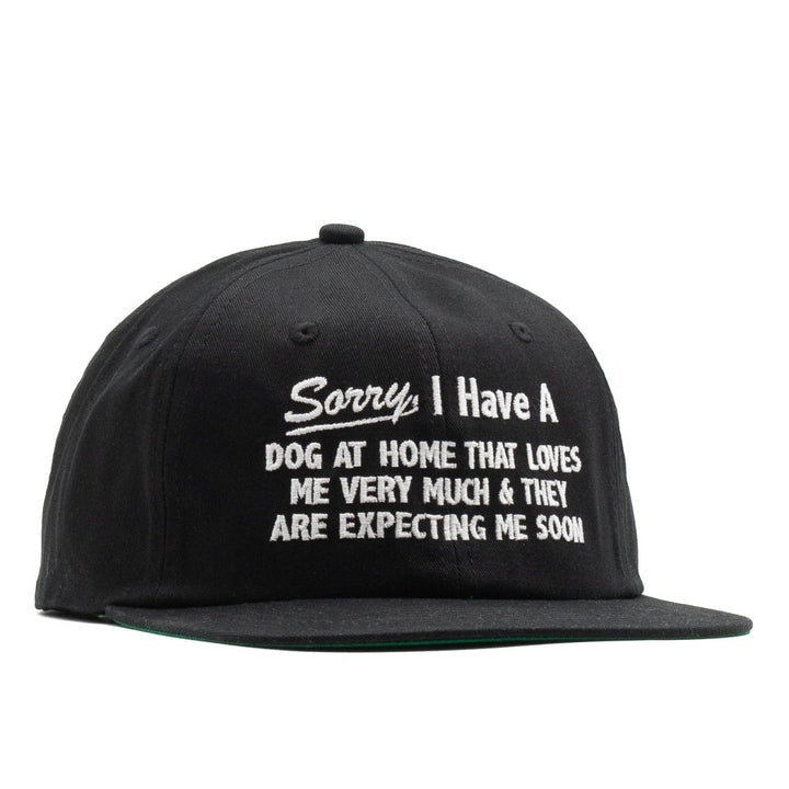 Headwear - Sorry, I Have A Dog At Home - SNAG