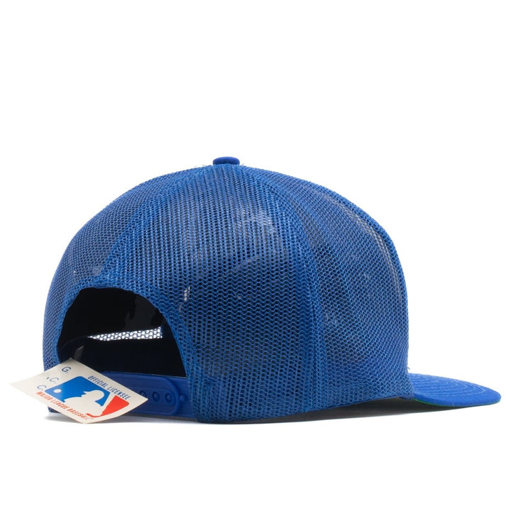 Toronto Blue Jays